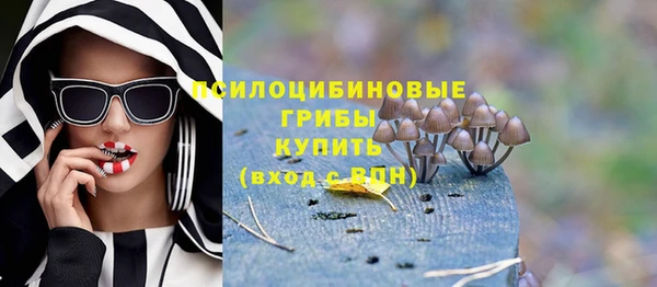 ECSTASY Богородицк