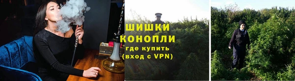амф Богданович