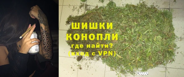 ECSTASY Богородицк