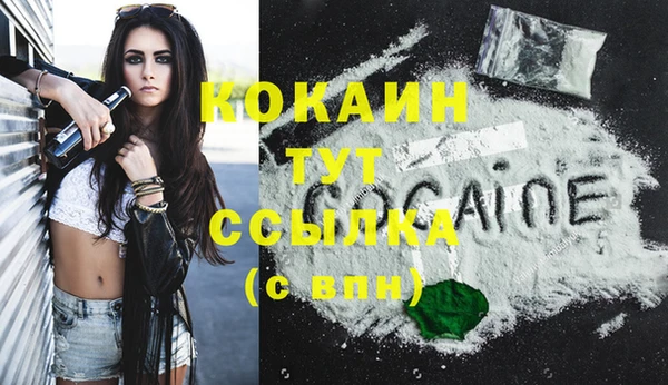 амф Богданович
