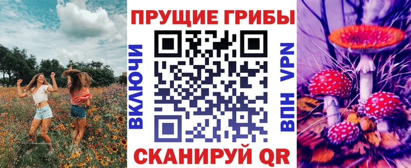 Галлюциногенные грибы прущие грибы Новотроицк
