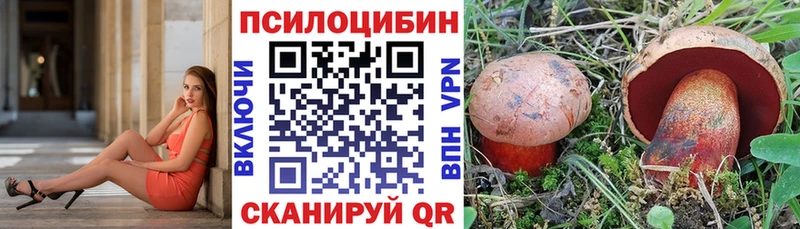 даркнет формула Новотроицк Галлюциногенные грибы GOLDEN TEACHER