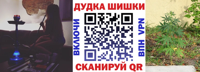 Канабис индика  Новотроицк 